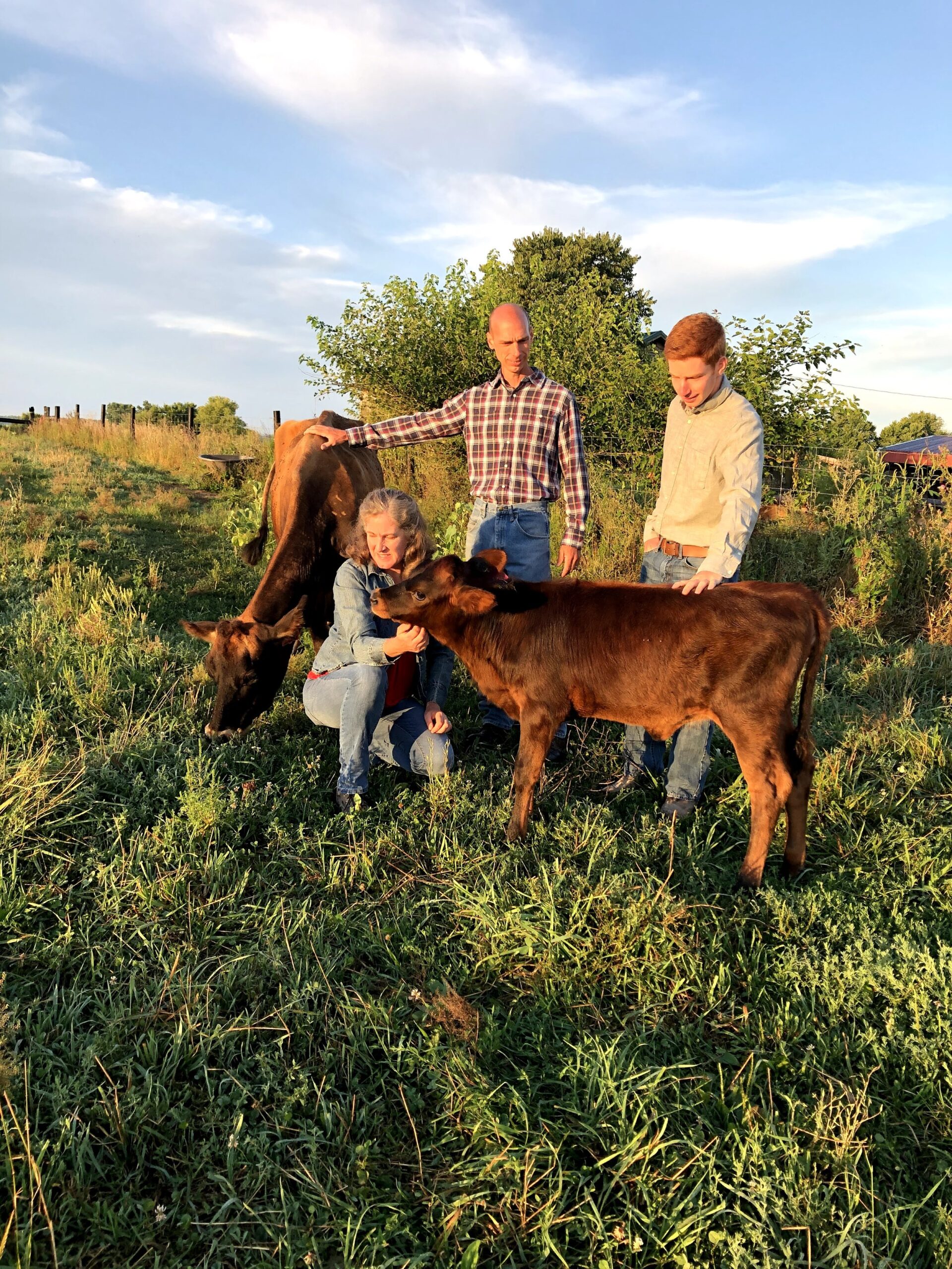 A family interacts with two calves on a sunny farm, showcasing a peaceful rural lifestyle. The scene features three people, including a woman and two men, gently petting the animals amidst lush green grass and a clear blue sky.